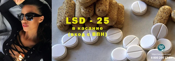 индика Баксан